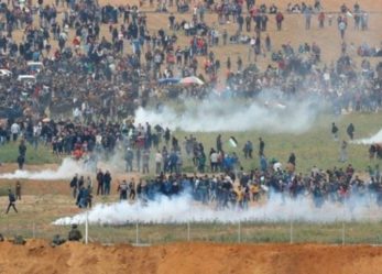 مهدی صولی: کشتار اخیر فلسطینیان در سایه سکوت دولت های عربی انجام گرفته است