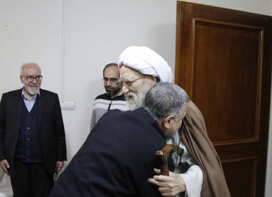 دیدار اعضای هیئت رییسه شورای مرکزی حزب موتلفه اسلامی با دبیرکل جامعه روحانیت مبارز   